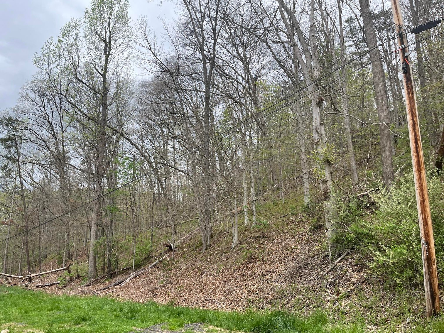 Image for SOLD $75,900 - Updated 3 Bedroom in Charleston