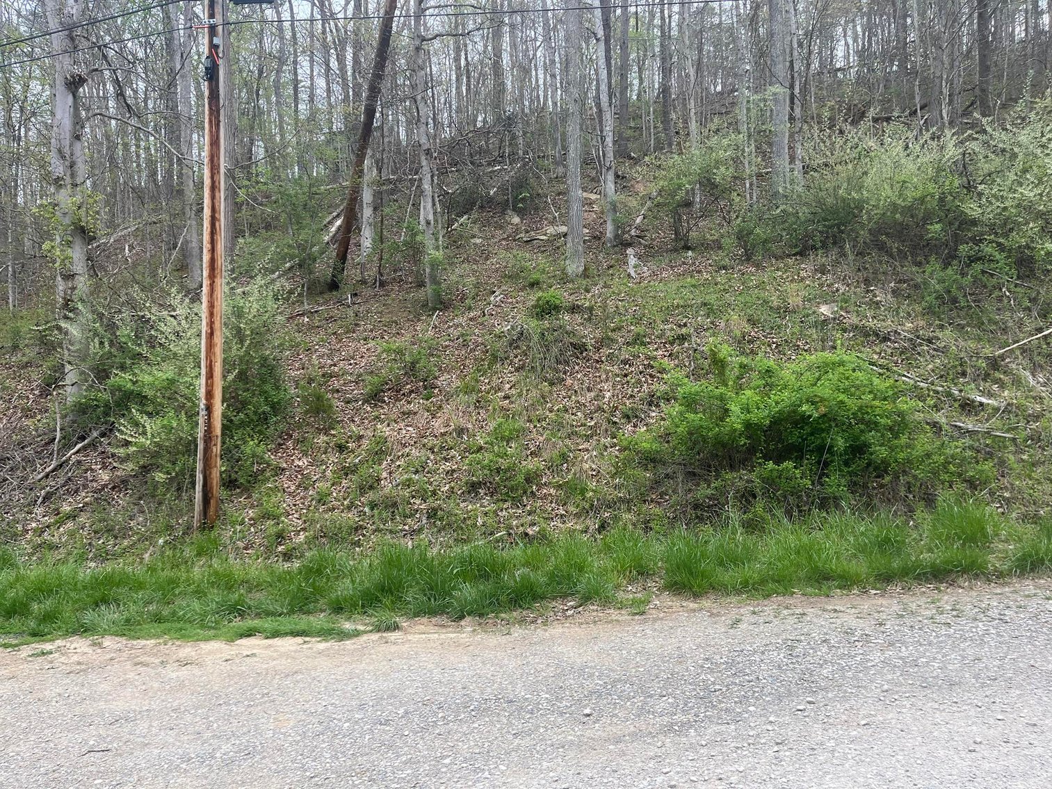 Image for SOLD $75,900 - Updated 3 Bedroom in Charleston