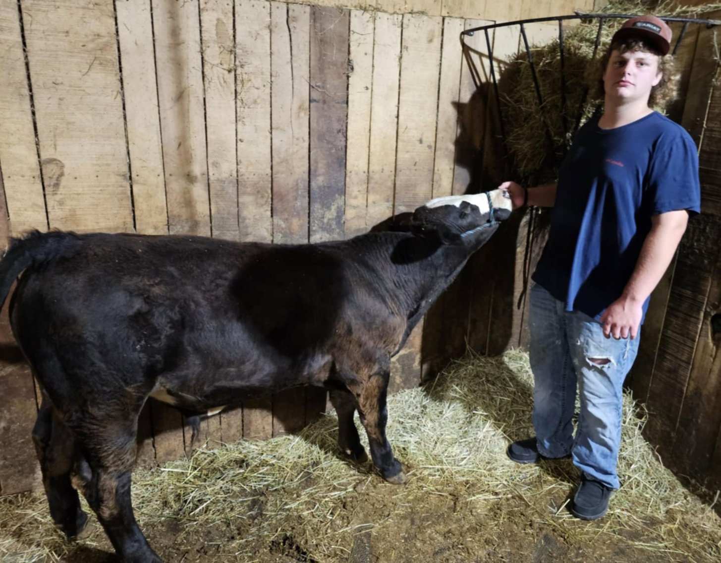 Image for Morgantown, WV - 10th Annual Monongalia County Fair 4-H & FFA Youth Livestock Auction