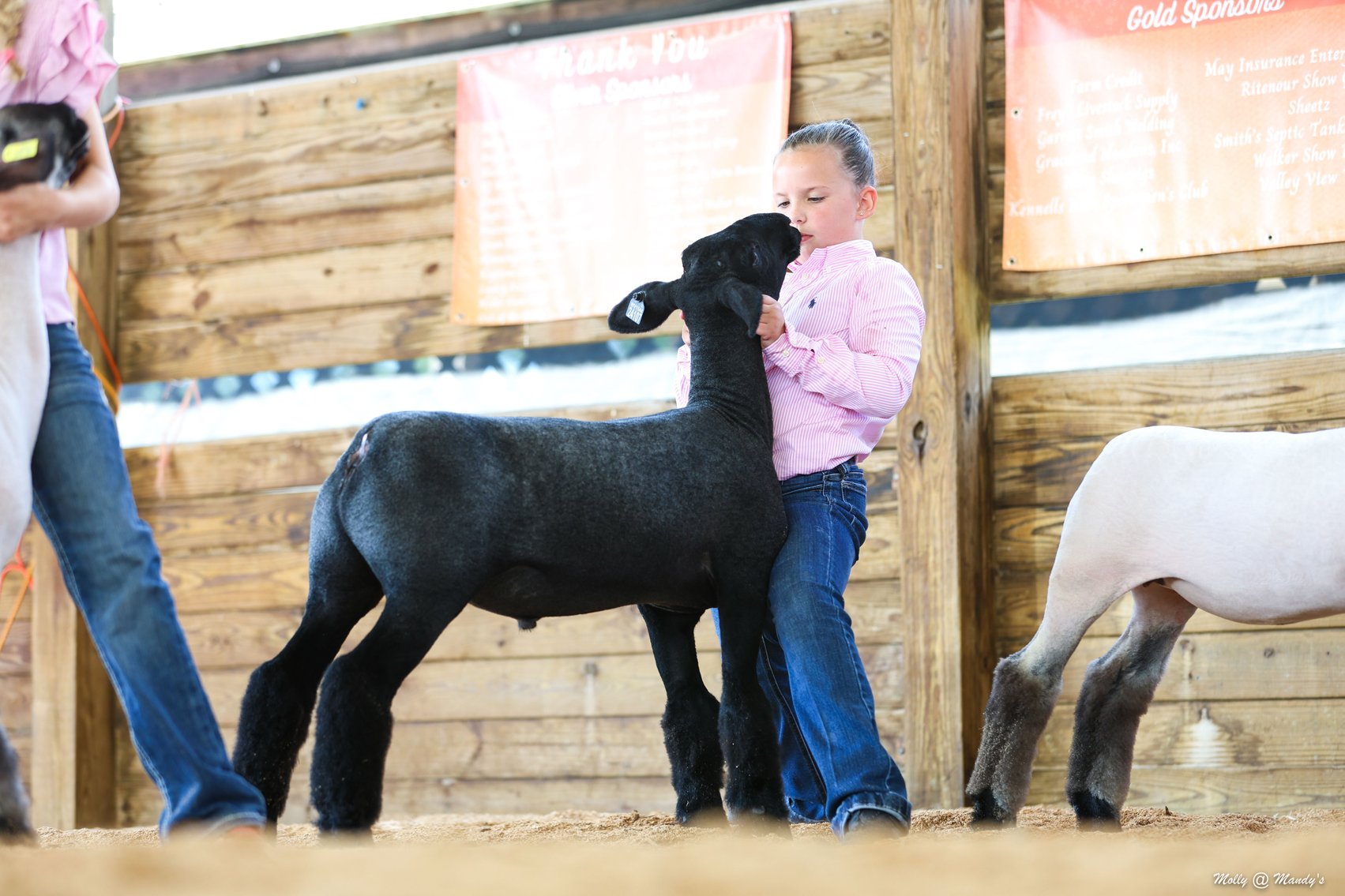 Image for Morgantown, WV - 10th Annual Monongalia County Fair 4-H & FFA Youth Livestock Auction