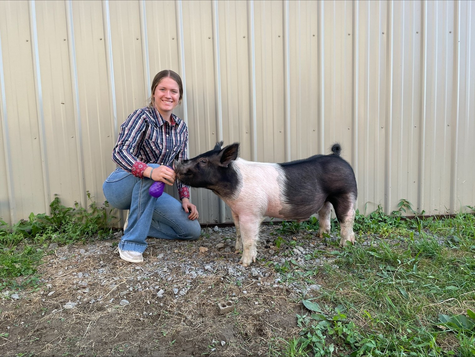 Image for Morgantown, WV - 10th Annual Monongalia County Fair 4-H & FFA Youth Livestock Auction
