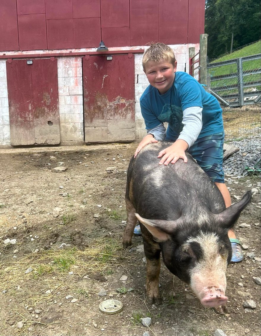 Image for Morgantown, WV - 10th Annual Monongalia County Fair 4-H & FFA Youth Livestock Auction