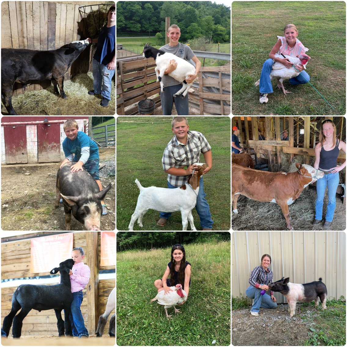 Image for Morgantown, WV - 10th Annual Monongalia County Fair 4-H & FFA Youth Livestock Auction