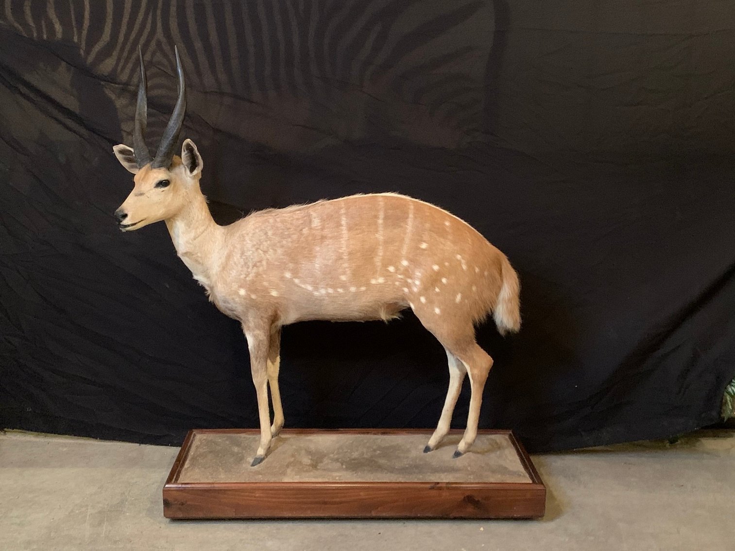 Image for Jane Lew, WV - Spring 2025 Gun Auction: Over 550 Guns! Day 1 of 2!