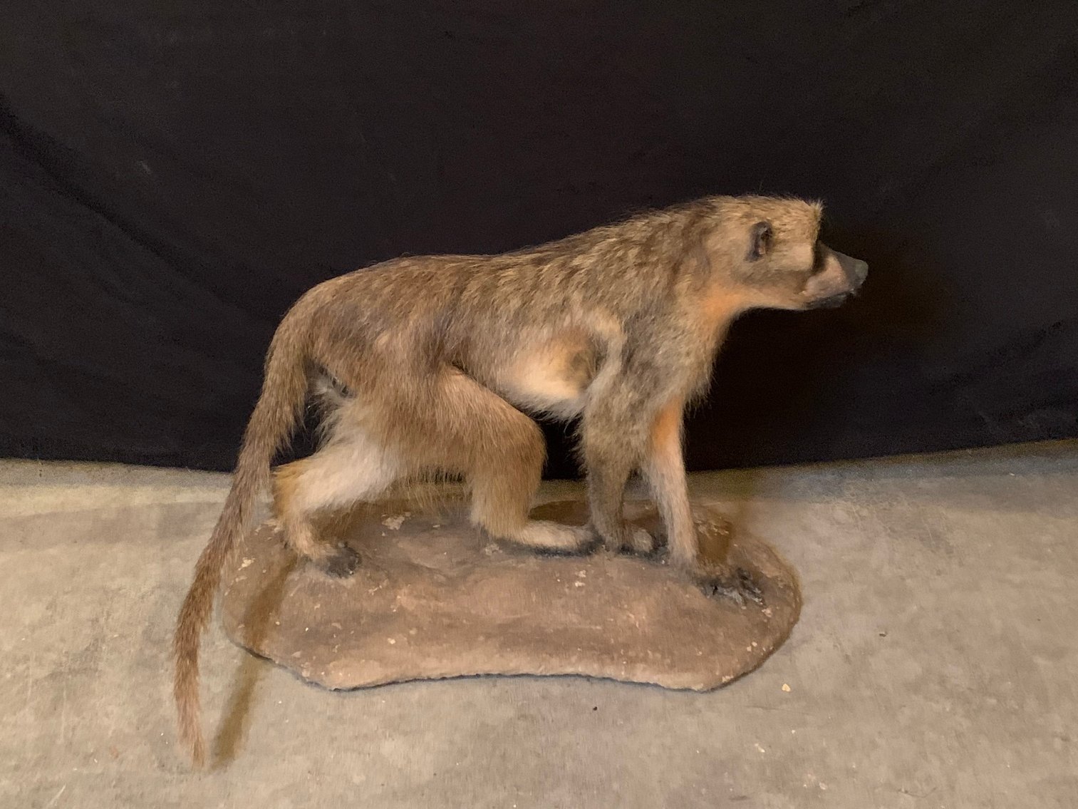 Image for Jane Lew, WV - Spring 2025 Gun Auction: Over 550 Guns! Day 1 of 2!