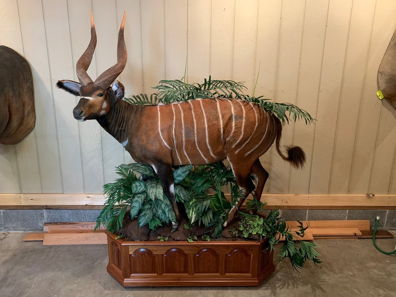 Image for Jane Lew, WV - Spring 2025 Gun Auction: Over 550 Guns! Day 1 of 2!