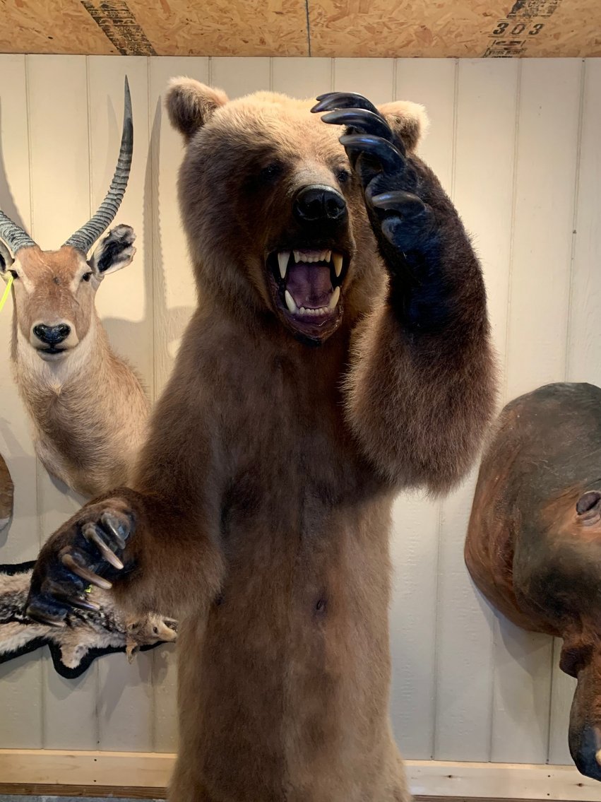 Image for Jane Lew, WV - Spring 2025 Gun Auction: Over 550 Guns! Day 1 of 2!