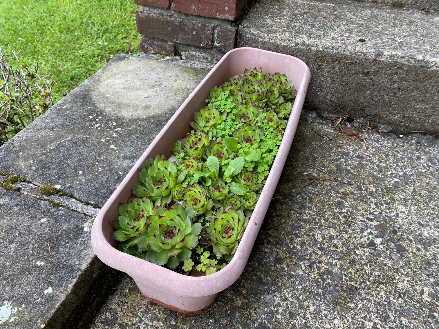 Image for Hopwood, PA – Complete Contents of the Home: Glassware, Stoneware, Local Collectibles, Oak Furniture, and Much More!