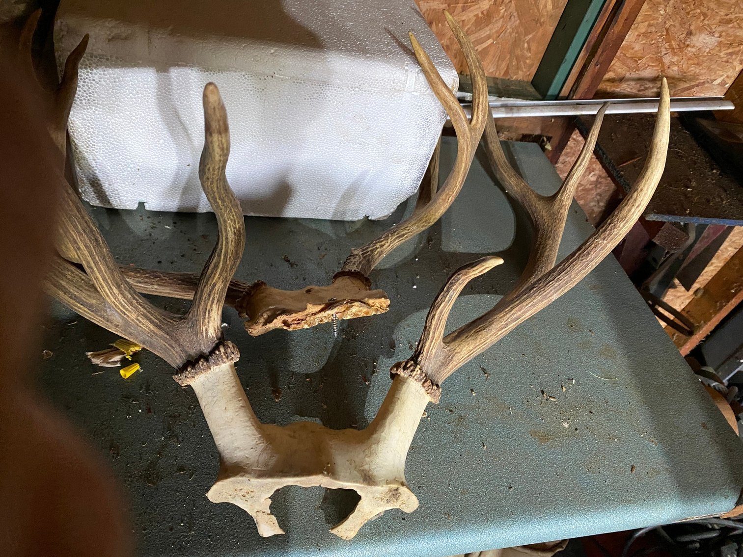 Image for Dilliner, PA – Richard Everly Moving Auction: Woodworking, Tools, Sporting Goods, Household Items