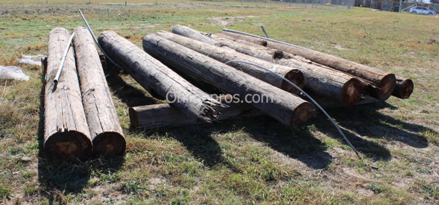 Image for San Diego Independent School District (Buses & Surplus) - San Diego, TX