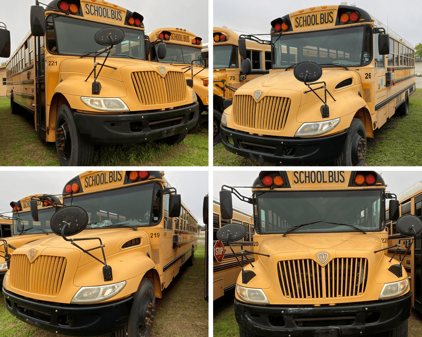 Image for Schertz-Cibolo, Universal City Independent School District (Buses) -