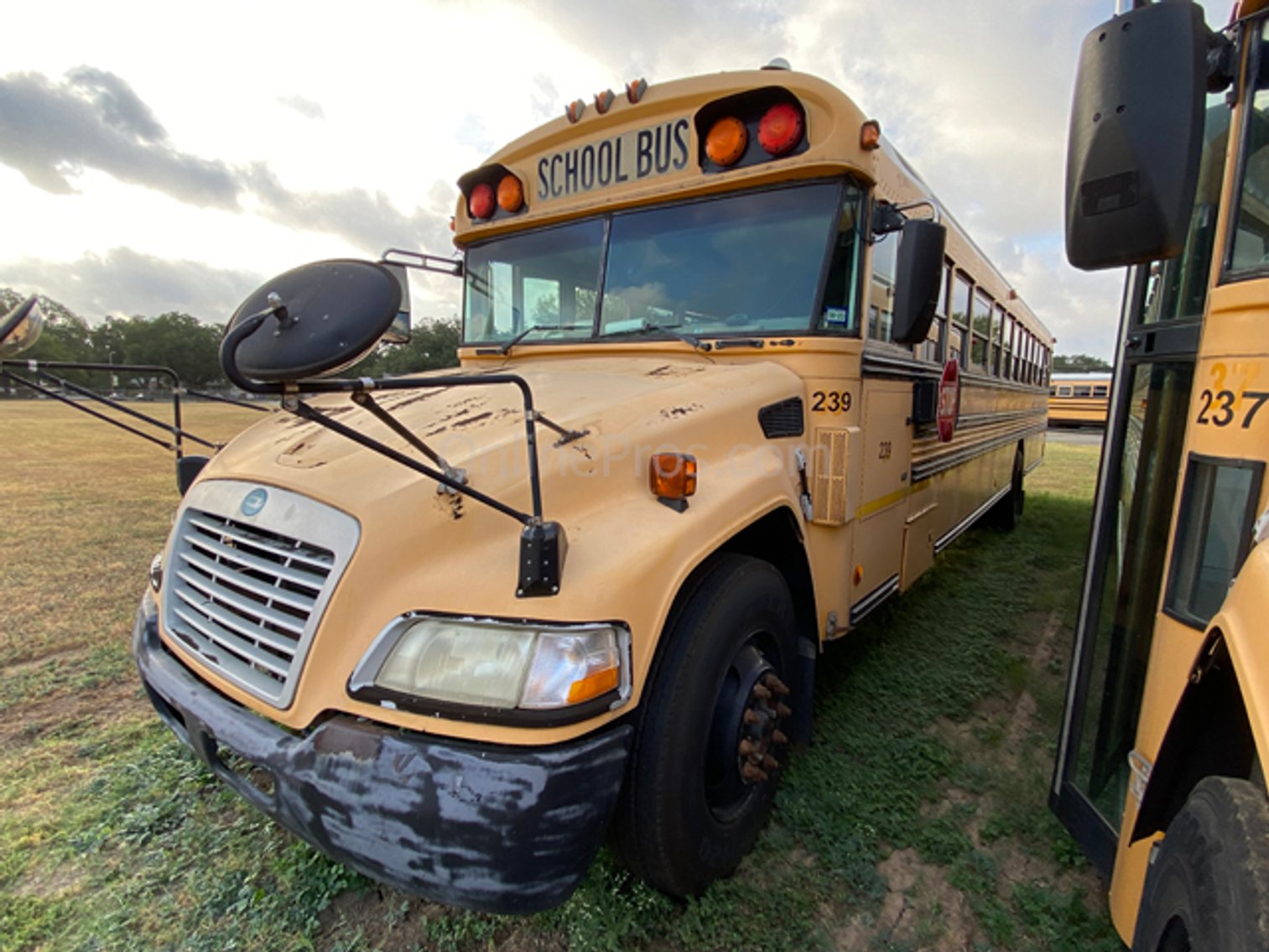 Image for Schertz-Cibolo Universal City Independent School District  (Buses) - Schertz, TX