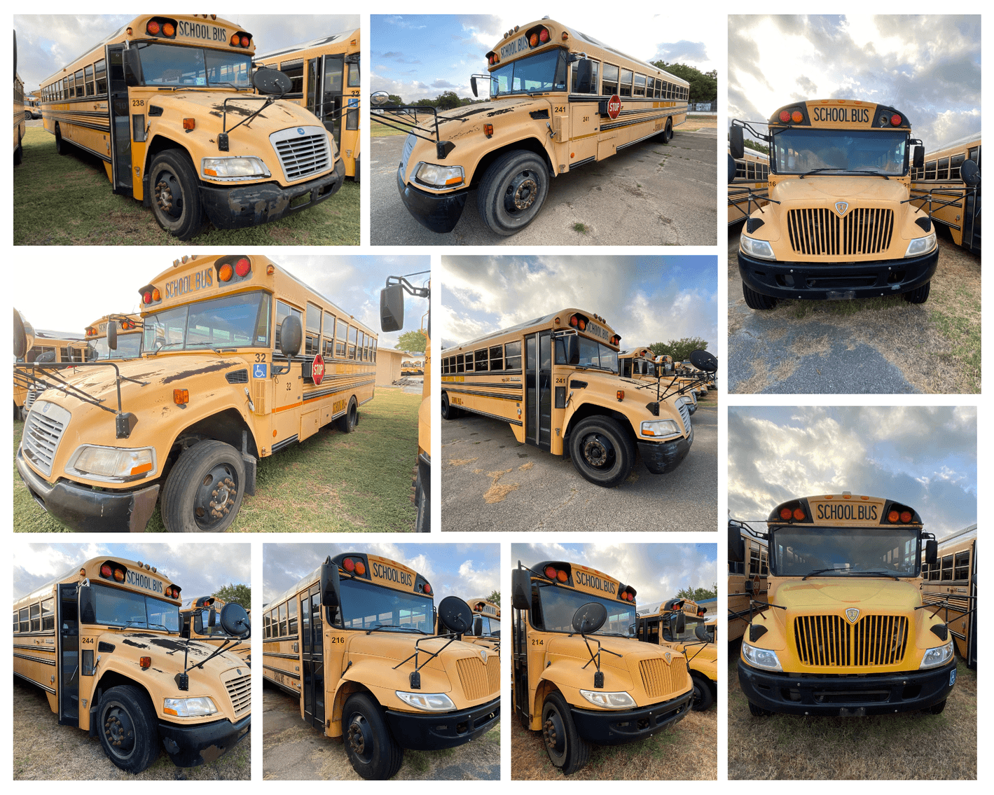 Image for Schertz-Cibolo Universal City Independent School District  (Buses) - Schertz, TX