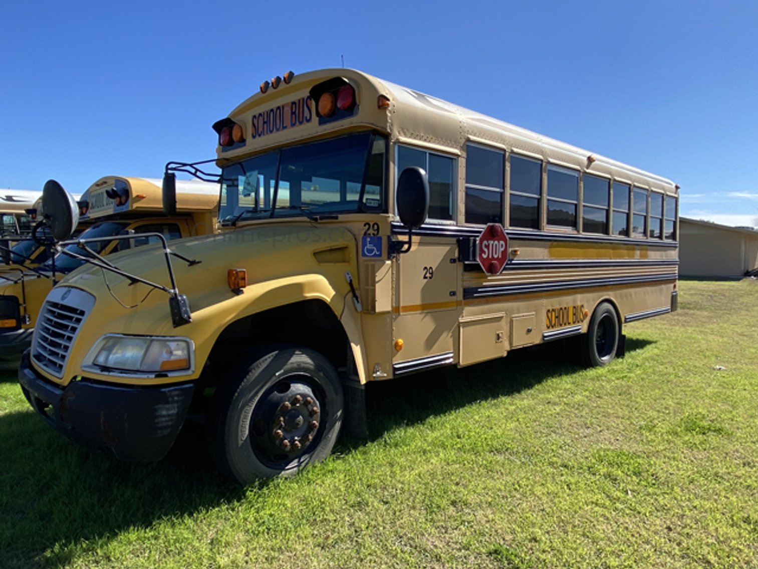 Image for Schertz-Cibolo Universal City Independent School District (Buses) - Schertz, TX