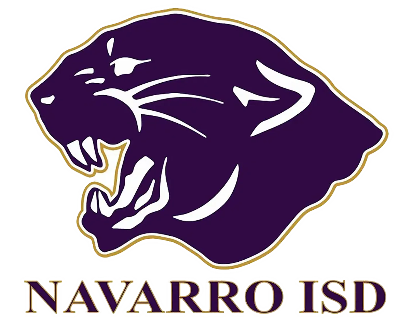 Image for Navarro Independent School District - Seguin, TX