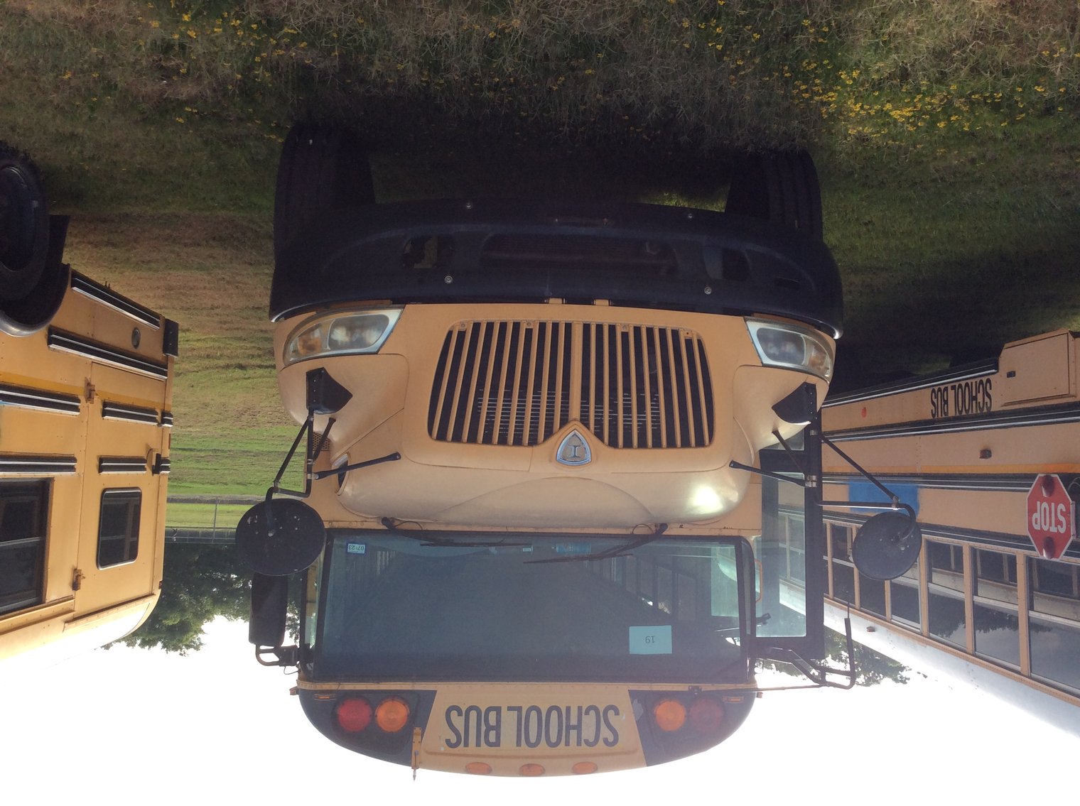 Image for Brownsboro Independent School District - Brownsboro, TX 75756