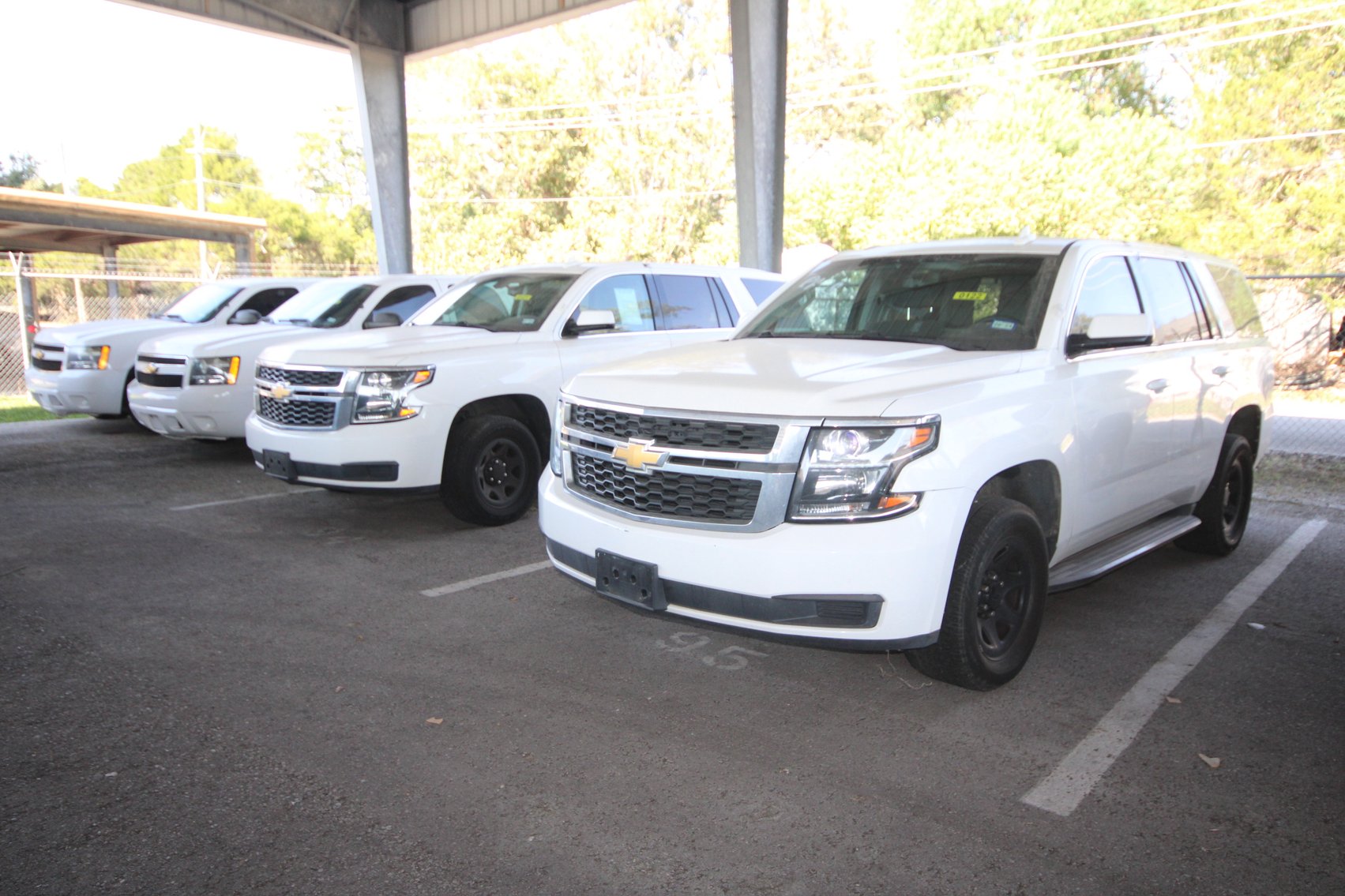 Image for Fort Bend County Public Live Auction