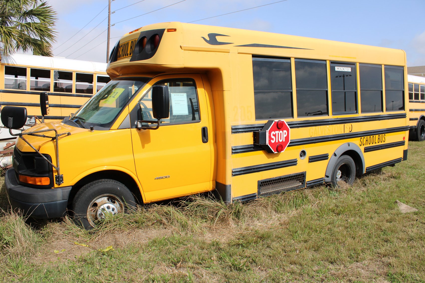 Image for Galveston Independent School District (School Buses and Vehicles)  - Galveston, TX 77554