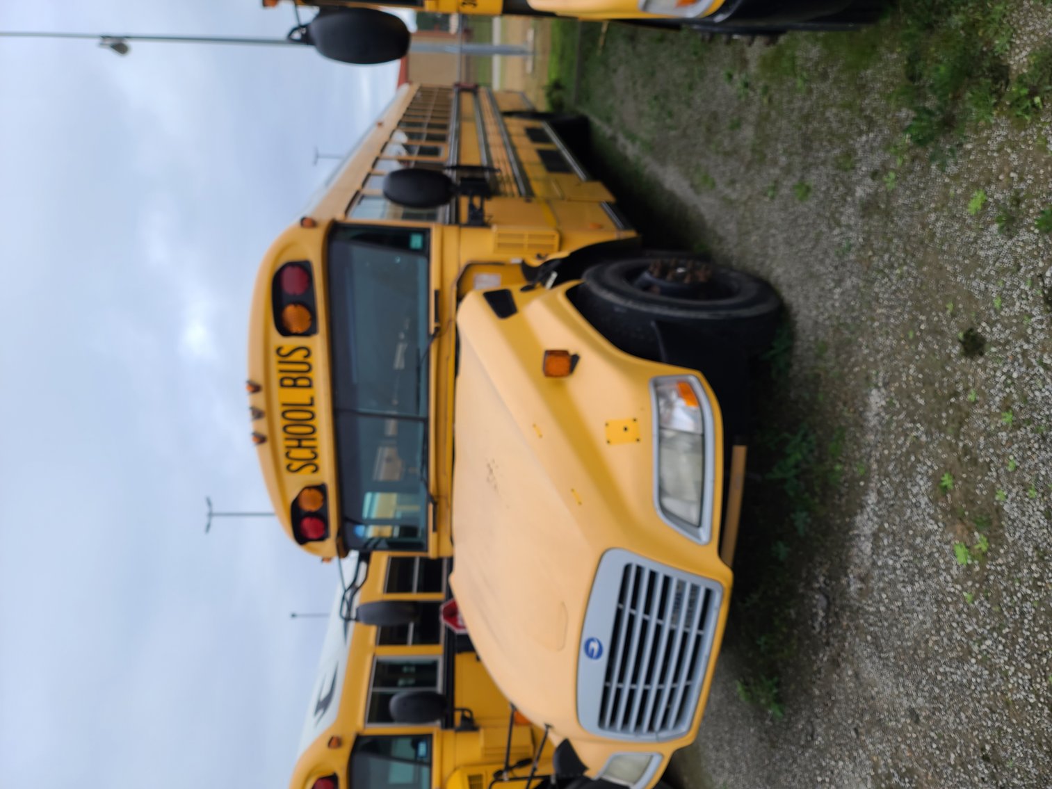 Image for Lumberton Independent School District (Buses)  - Lumberton, TX 77657