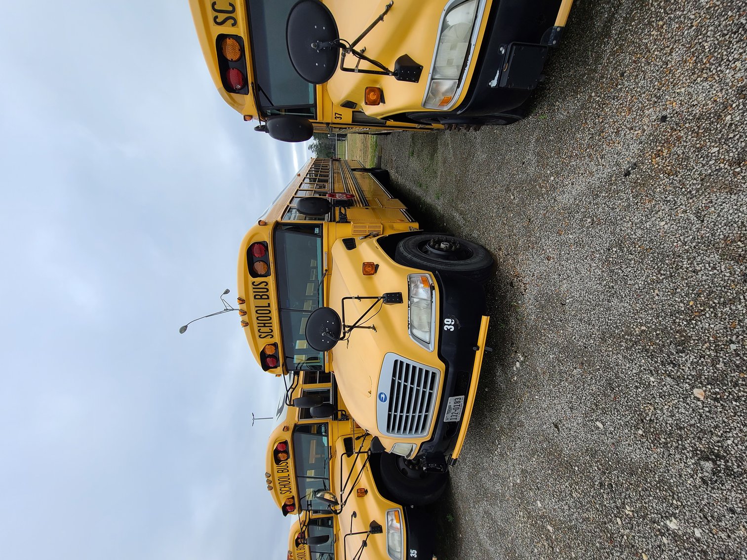 Image for Lumberton Independent School District (Buses)  - Lumberton, TX 77657