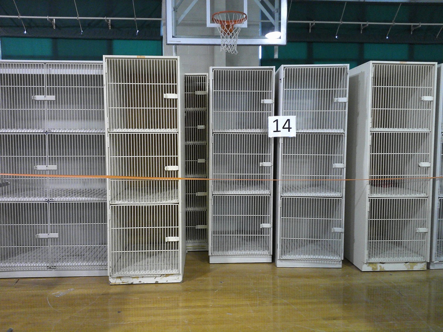 Image for Seguin Independent School District (Surplus) - Seguin, TX 78155