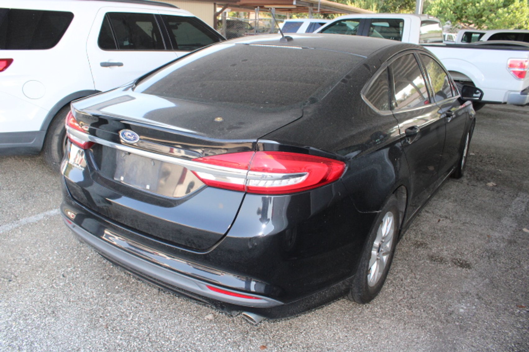 Image for Fort Bend County - Needville, TX 77461