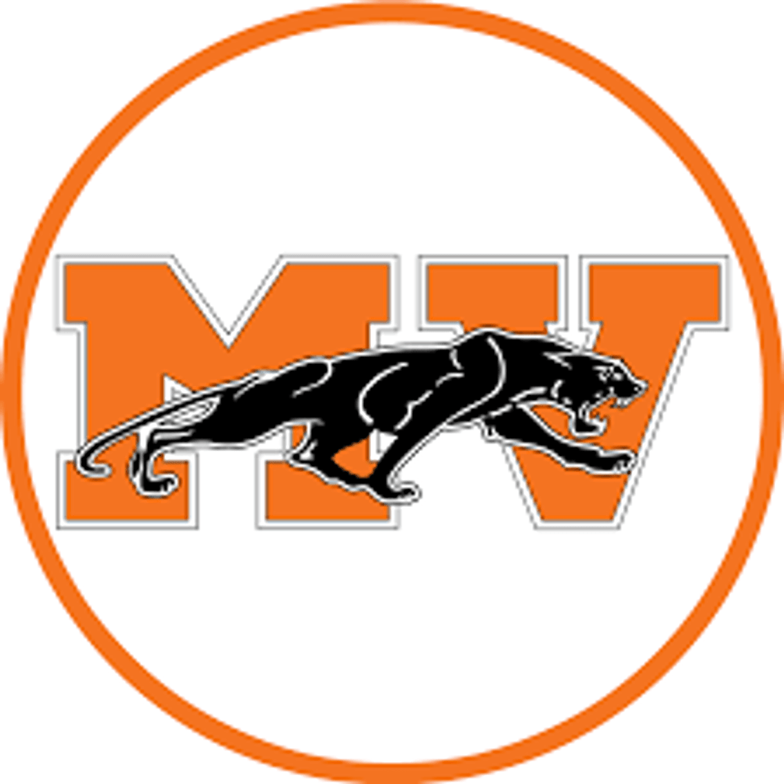 Image for (Coming Soon) Medina Valley Independent School District