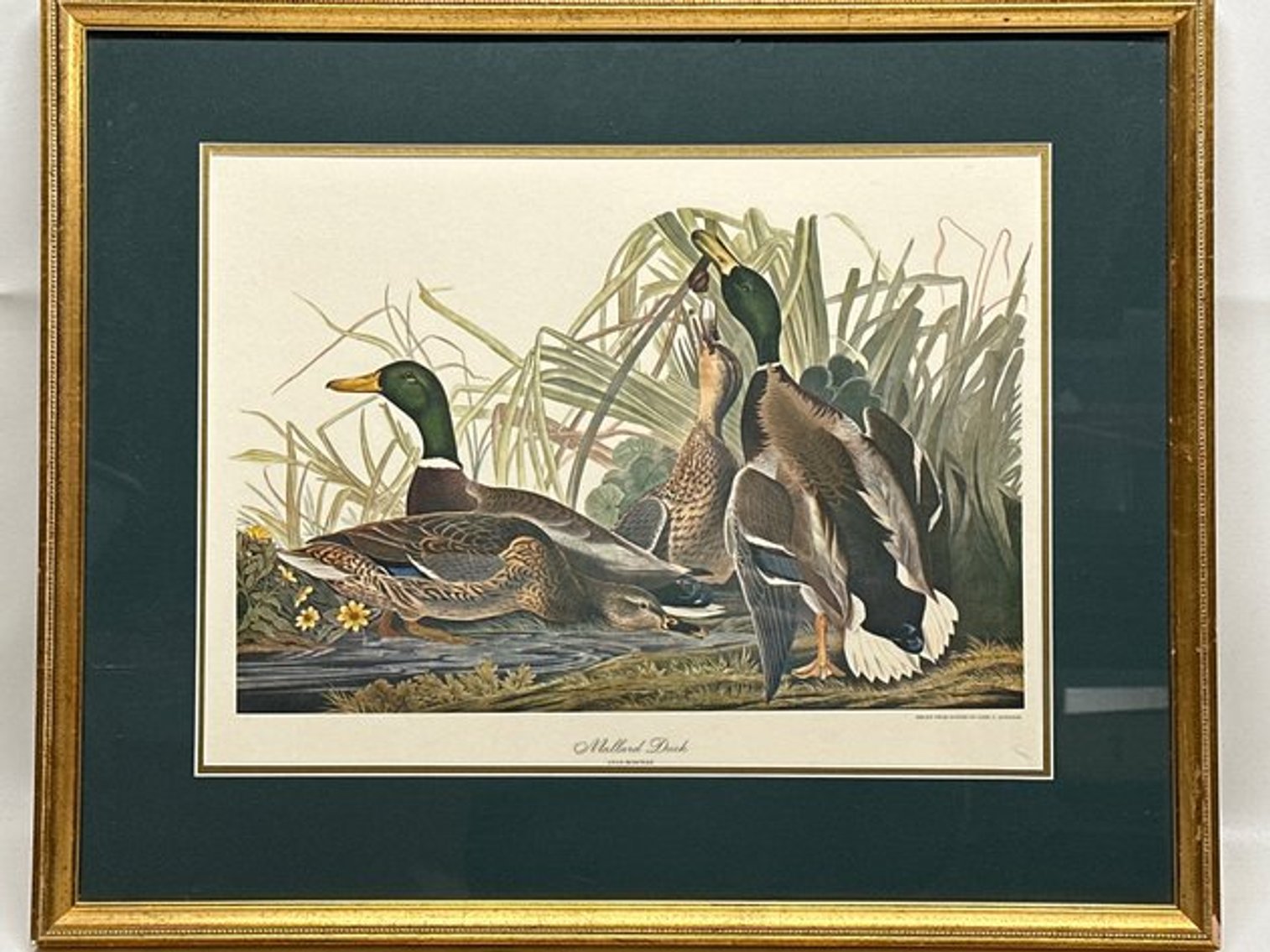 Image for Art Auction