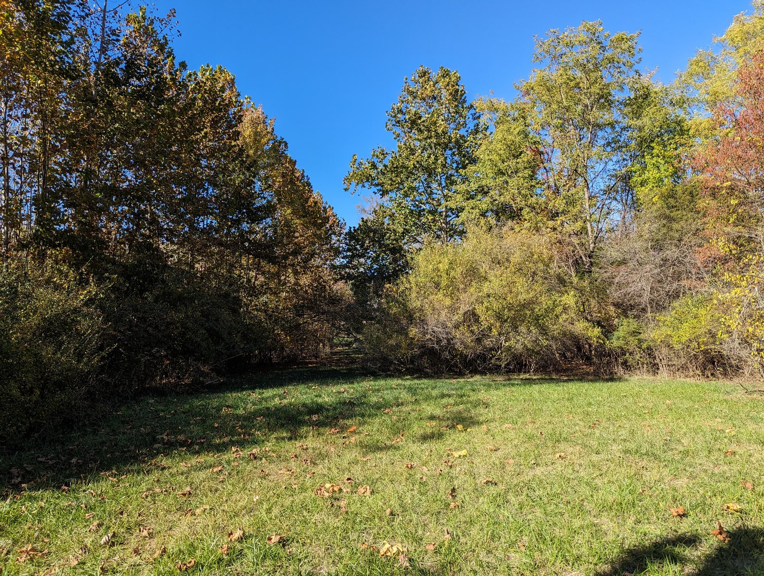 Image for Five Acres Of Residential Land In City Of Staunton