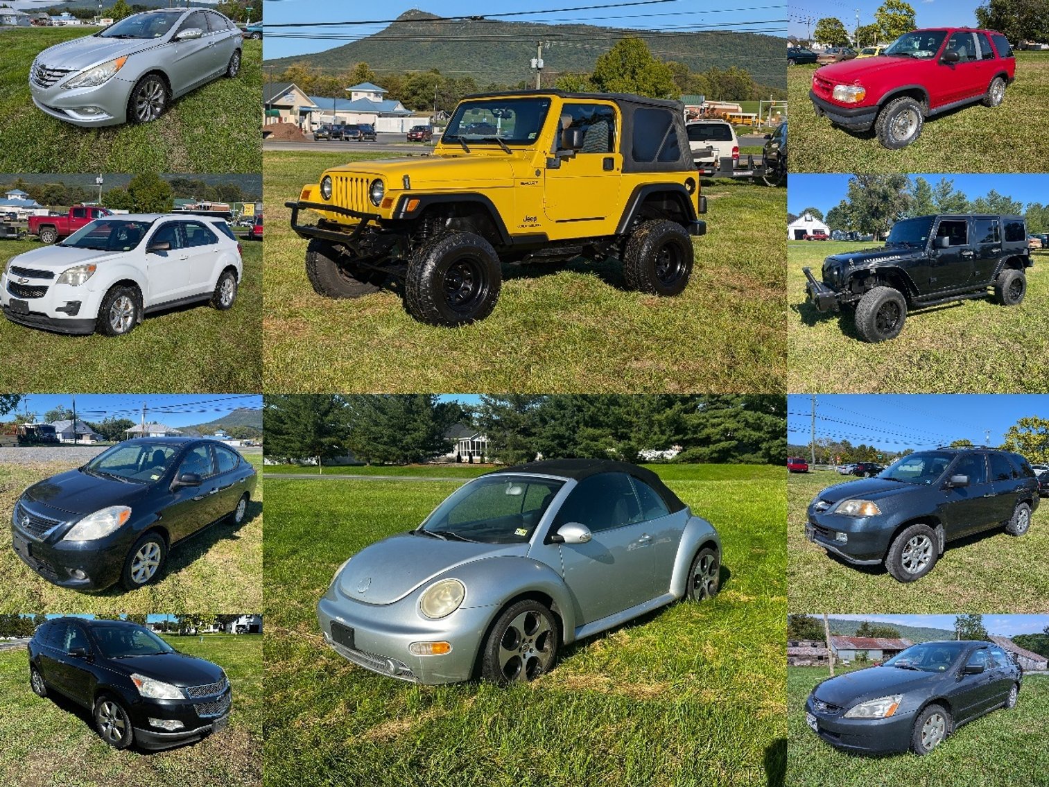 Image for Shenandoah Valley Fall Consignment Auction