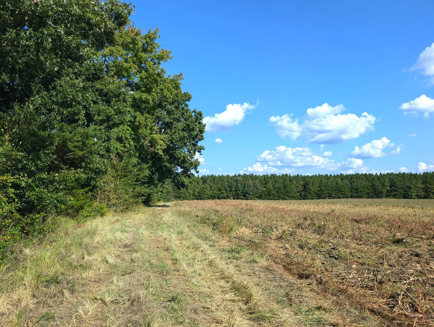 Image for Three Tracts of Land - Halifax County VA