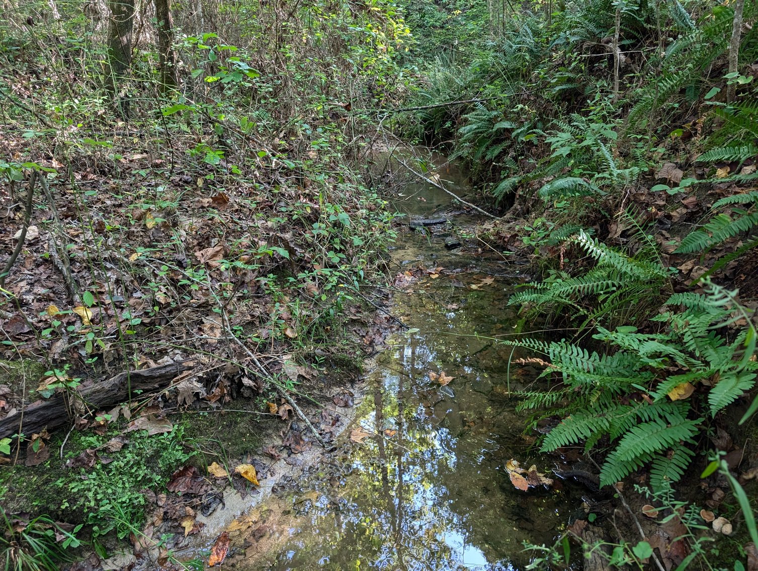 Image for Three Tracts of Land - Halifax County VA