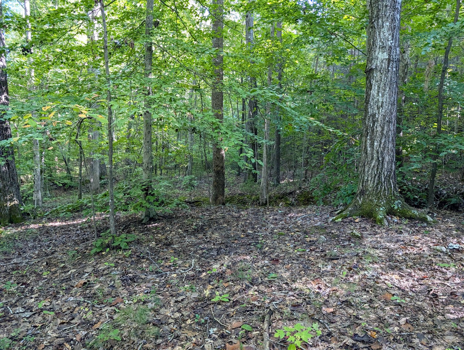 Image for Three Tracts of Land - Halifax County VA