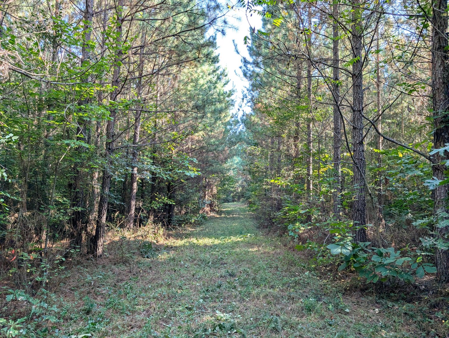 Image for Three Tracts of Land - Halifax County VA