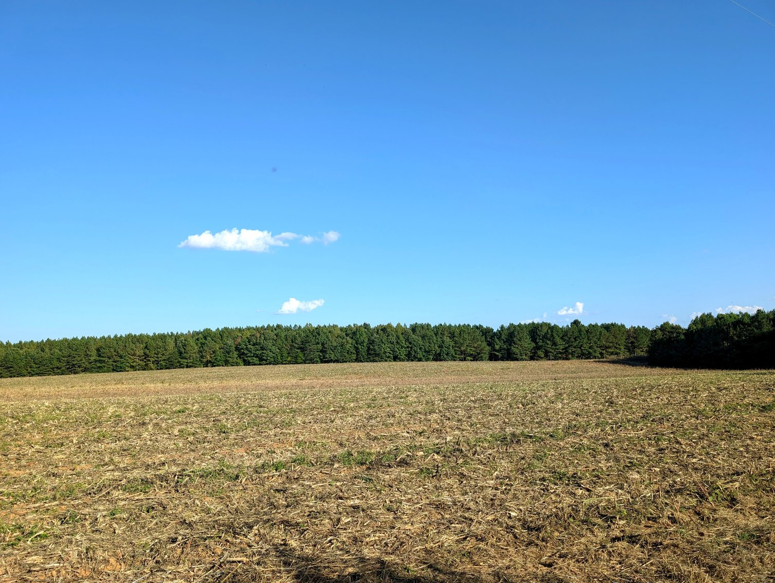 Image for Three Tracts of Land - Halifax County VA