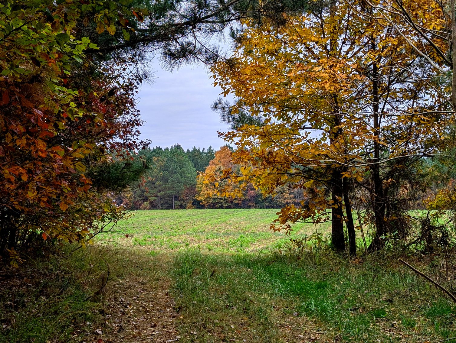 Image for Three Tracts of Land - Halifax County VA