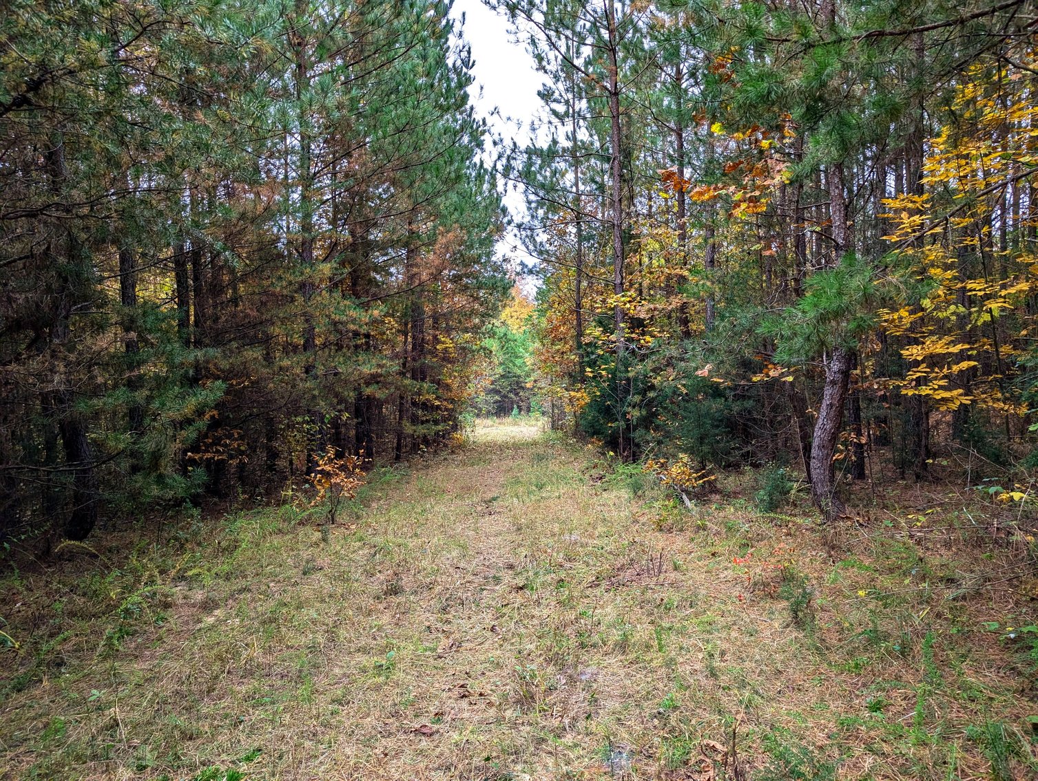 Image for Three Tracts of Land - Halifax County VA