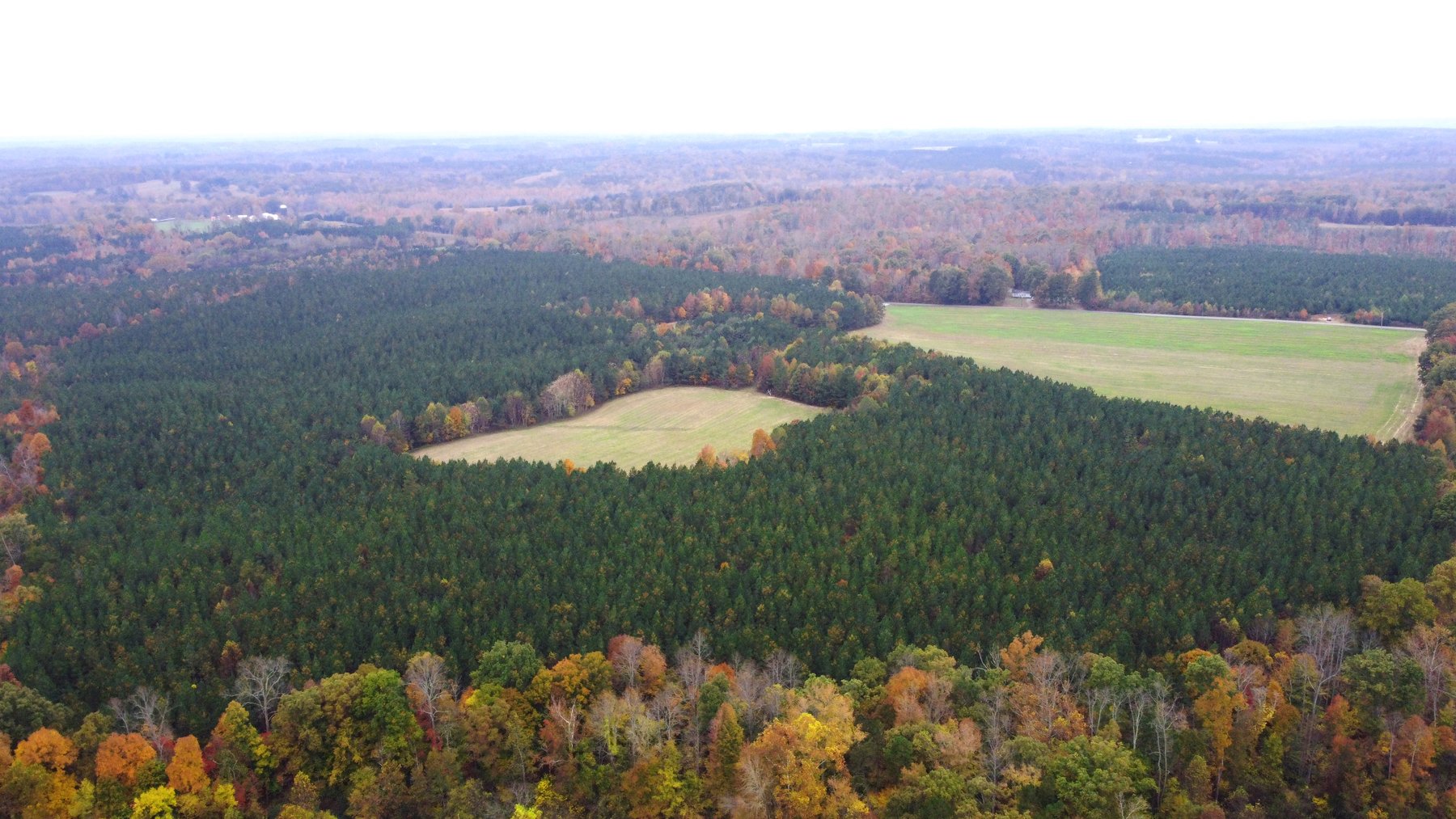 Image for Three Tracts of Land - Halifax County VA