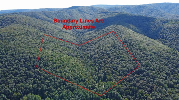 Image for Cabin On 60 Acres Near Criders VA