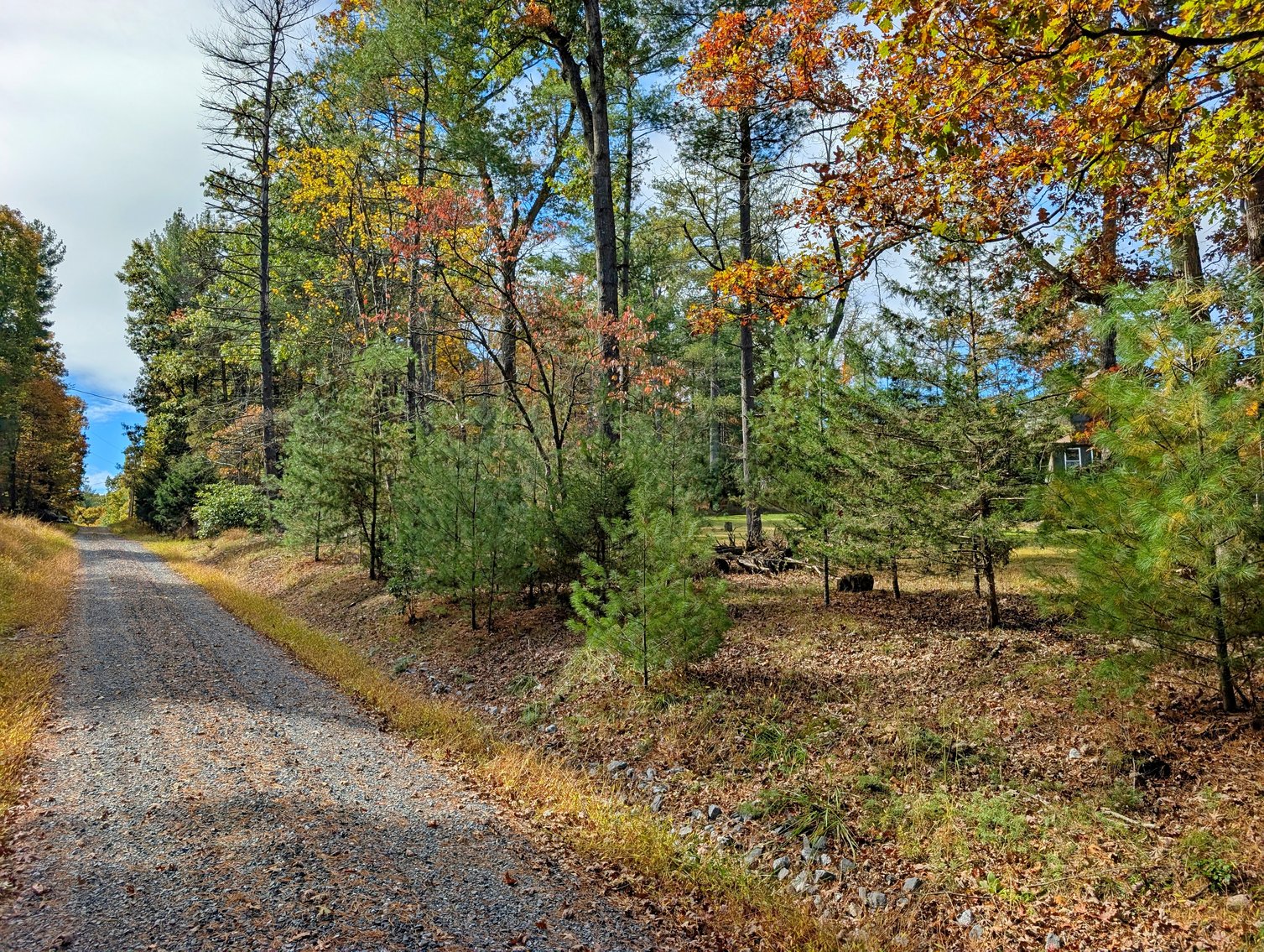 Image for Cabin On 5 Acres Near Broadway VA