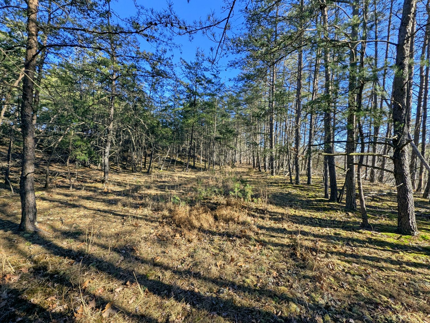 Image for 8.4 +/- Acres Near Winchester VA