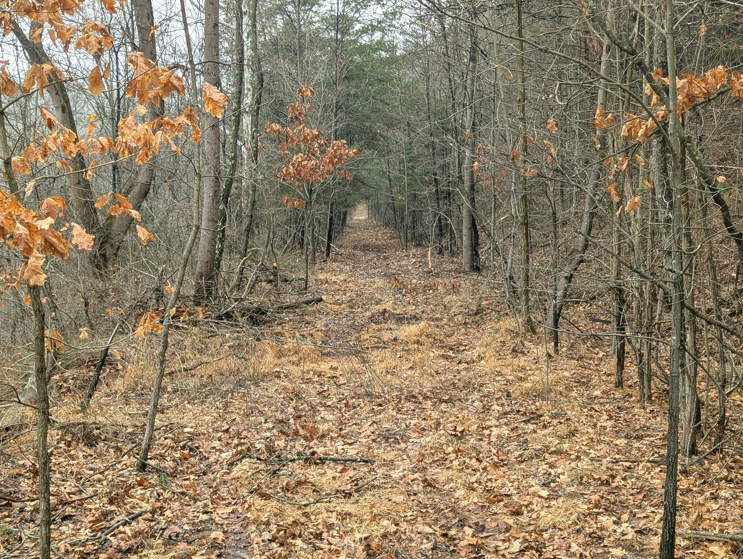 Image for 8.4 +/- Acres Near Winchester VA