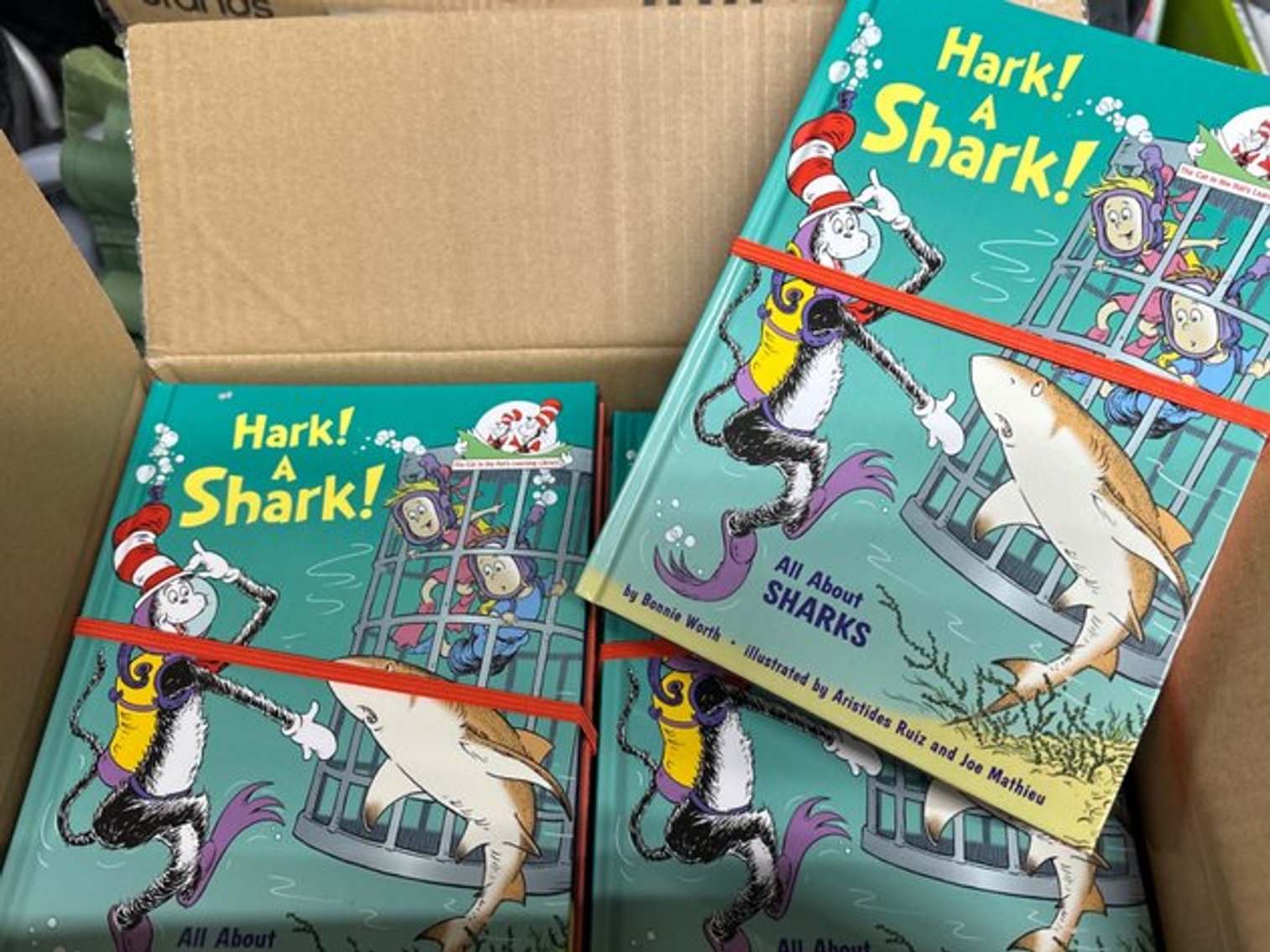 Image for Books are Fun/Collective Goods Inventory Reduction Sale