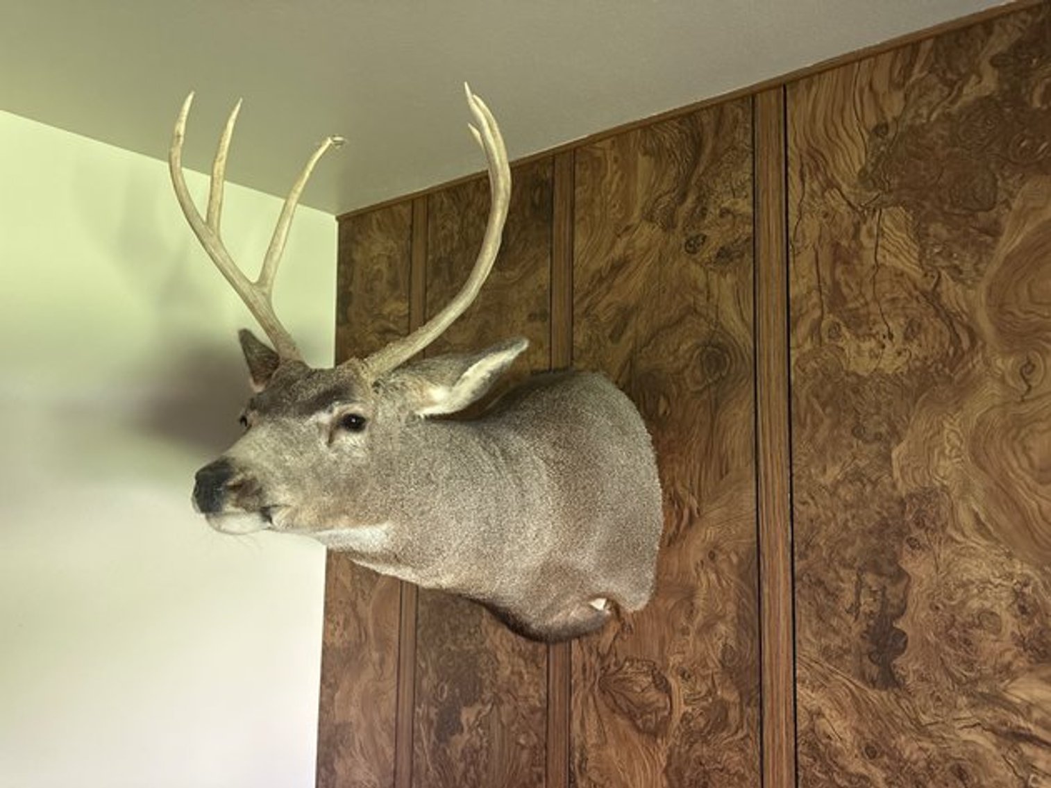 Image for Baldwin Estate