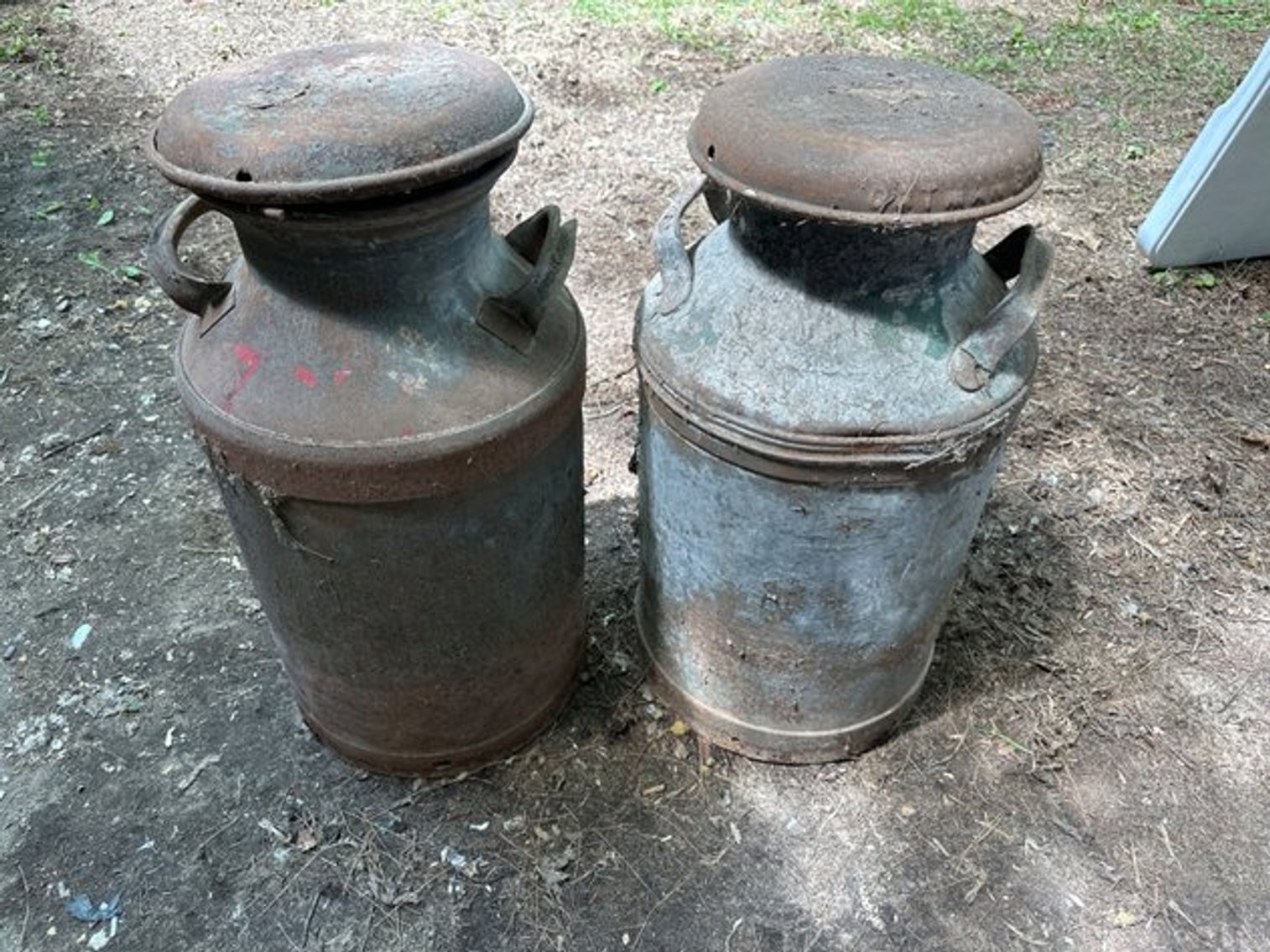 Image for Bear Lake Auction