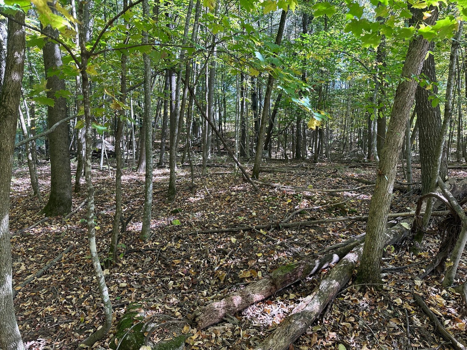 Image for River Lane Waterfront Lots Auction