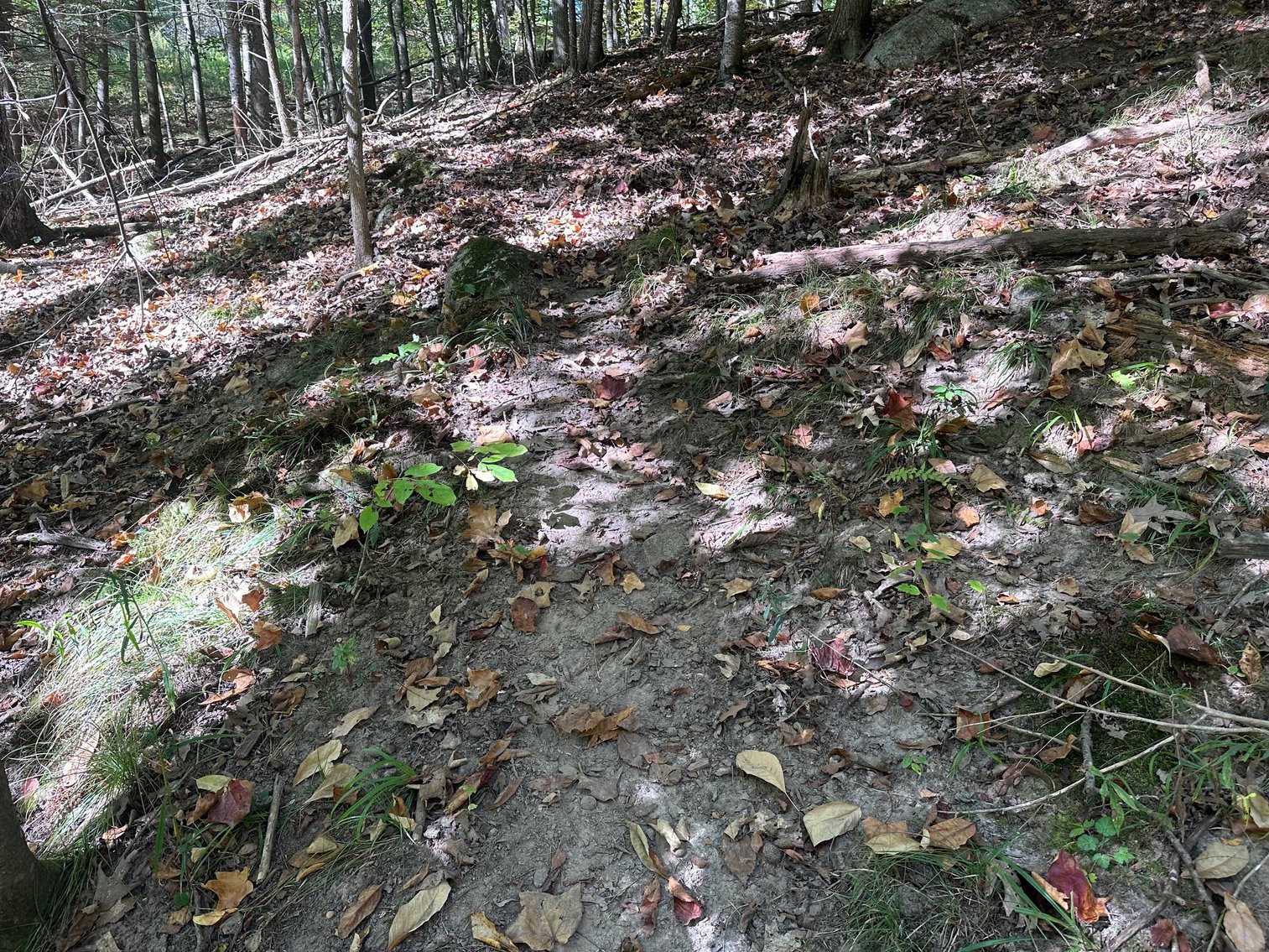 Image for River Lane Waterfront Lots Auction