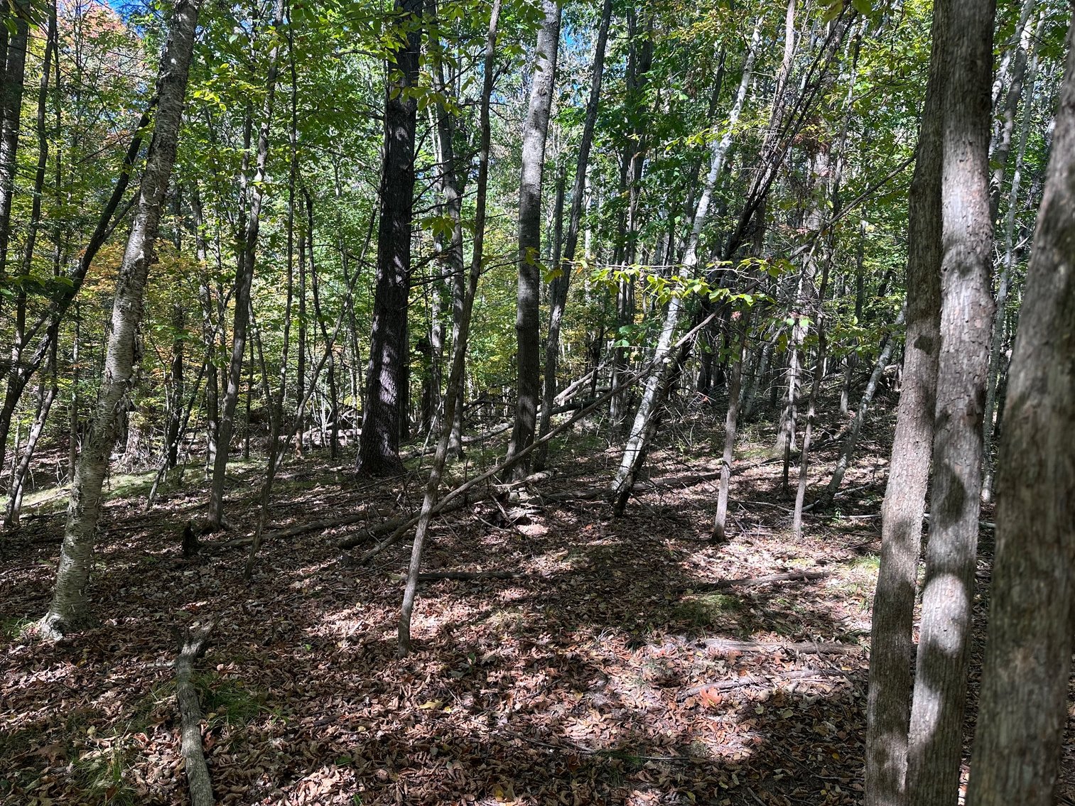 Image for River Lane Waterfront Lots Auction