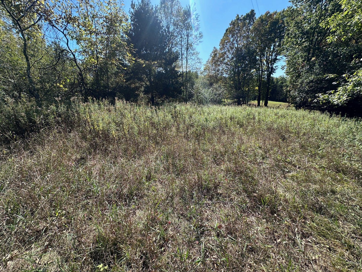 Image for River Lane Waterfront Lots Auction