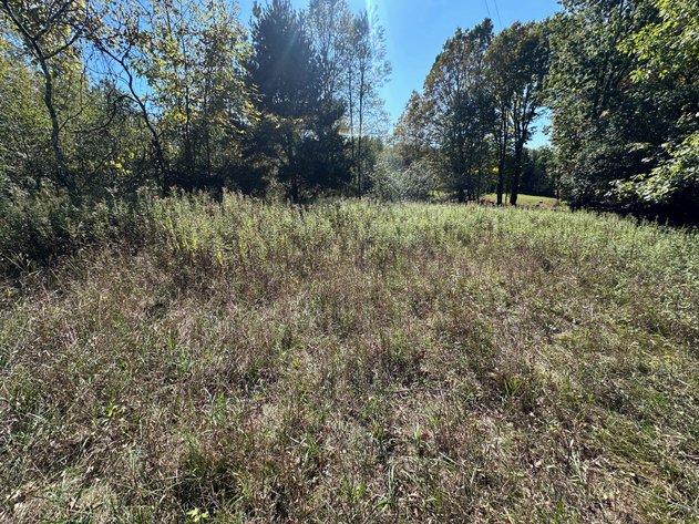 Image for River Lane Waterfront Lots Auction